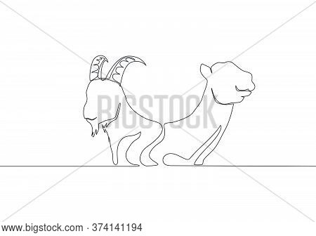 Single Continuous Line Drawing Of Goat And Camel Head. Muslim Holiday The Sacrifice An Animal Such A