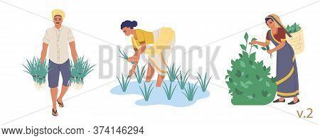 Indian Farmer Character Set, Vector Flat Isolated Illustration
