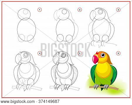 Page Shows How To Learn To Draw Step By Step Cute Little Green Parrot. Developing Children Skills Fo