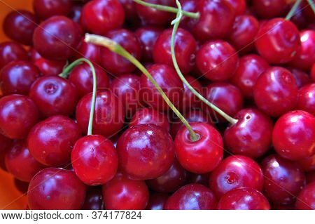 Many Ripe Red Cherries In A Bucket, Nice Food