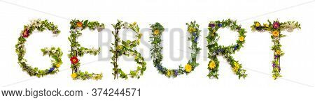 Flower And Blossom Letter Building Word Geburt Means Birth