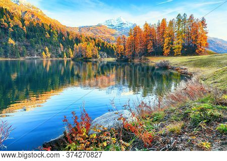 Spectacular Autumn View Of Champfer Lake. Mirror Reflaction In Lake. Location: Silvaplana, Maloya Di