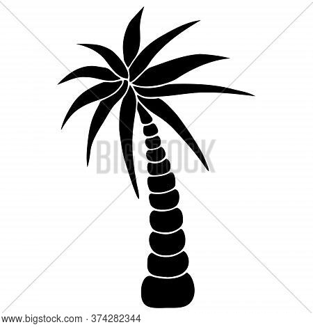 Tropical Tree. Palm. Silhouette. Vector Illustration. Outline On An Isolated White Background. Sketc