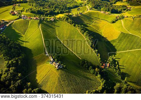Aerial View Of Green Hills And Vineyards With Mountains In Background. Austria Vineyards Landscape. 