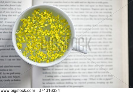 Closeup Cup Of Herbal Drink On Open Book
