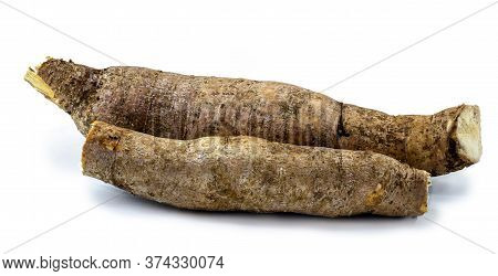 Brazilian Manioc, A Vegetable Used In Brazilian Cuisine, Called Macaxeira, 