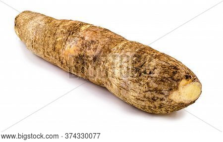 Brazilian Manioc, A Vegetable Used In Brazilian Cuisine, Called Macaxeira, 