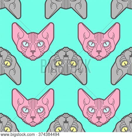 Sphynx Cat Pattern Seamless. Pet Background. Home Animal Texture. Vector Ornament