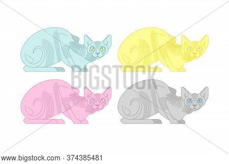 Sphynx Cat Set. Hairless Cat Breeds. Pet Vector Illustration