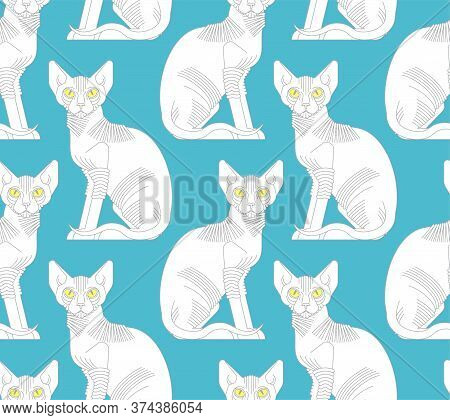 Sphynx Cat Pattern Seamless. Pet Background. Home Animal Texture. Vector Ornament