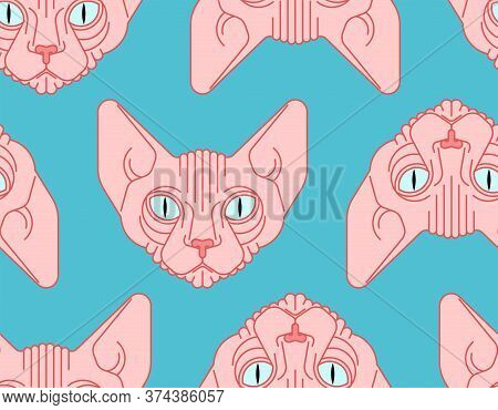 Sphynx Cat Pattern Seamless. Pet Background. Home Animal Texture. Vector Ornament