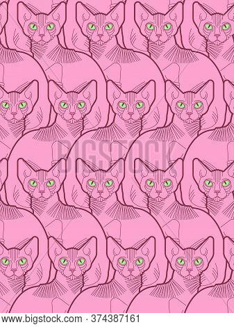 Sphynx Cat Pattern Seamless. Pet Background. Home Animal Texture. Vector Ornament