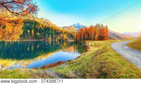 Spectacular Autumn View Of Champfer Lake. Mirror Reflaction In Lake. Location: Silvaplana, Maloya Di