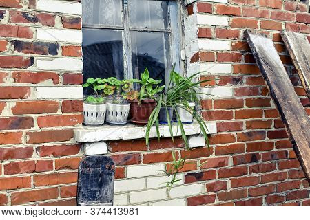Houseplants In Old Flowerpots On A Wooden Window Outside The House. Five Flower Pots With The Pelarg