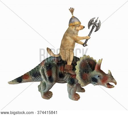 The Beige Dog Knight In Boots And A Helmet With A Double Headed Battle Axe Is Riding A War Tricerato