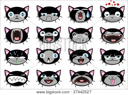 Conjunto de gatinho 16 faces