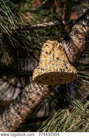 Bell From Various Grains, A Delicacy For All The Birds In The Garden