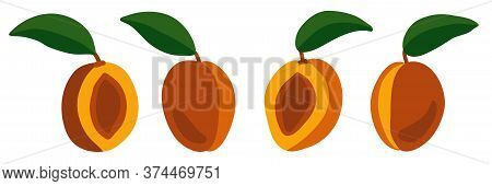 Set Of Vector Peaches On A White Background. Isolated Realistic Illustration. Juicy And Bright Fruit