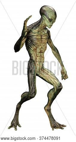 3D Rendering Green Alien On White