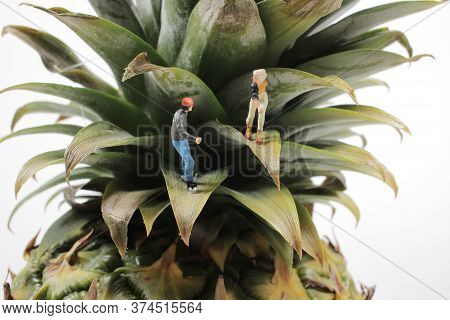 The Mini Figure Roller Skating On The Pineapple