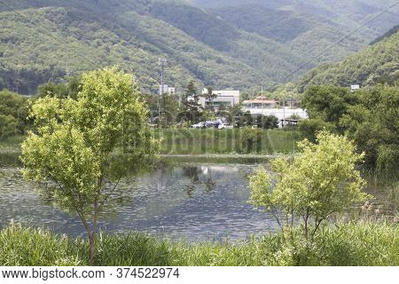 Garden Of Water Bukhangang River Viewed Through The Trees Growing Alongside The River.