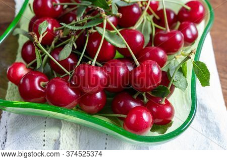 New Harvest Of Red Ripe Juicy Sour Cherry Or Kriek Berry