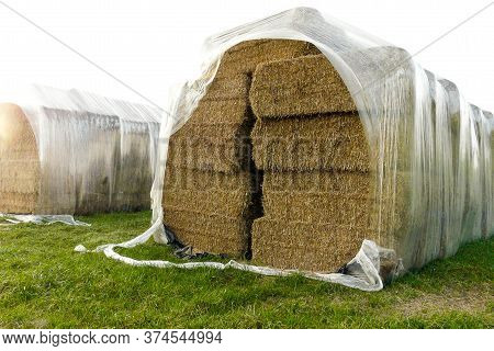 Square Straw Bale Protected With Plastic Folie
