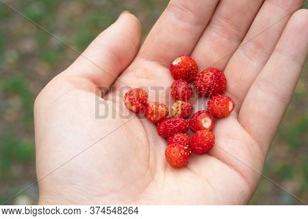A Hand Holding A Piece Of Fruit