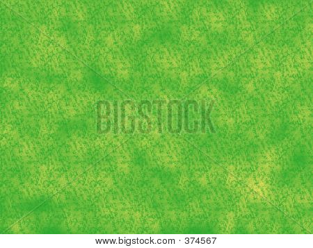Daisy Field