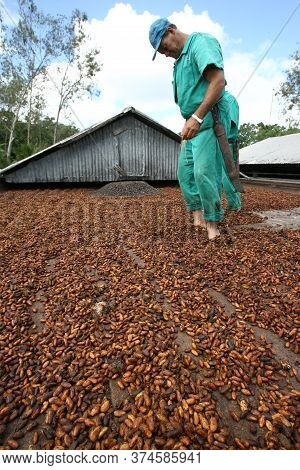 Ilheus, Bahia / Brazil - March 21, 2011: Farmer Drying Cocoa Beans On A Farm In The City Of Ilheus.
