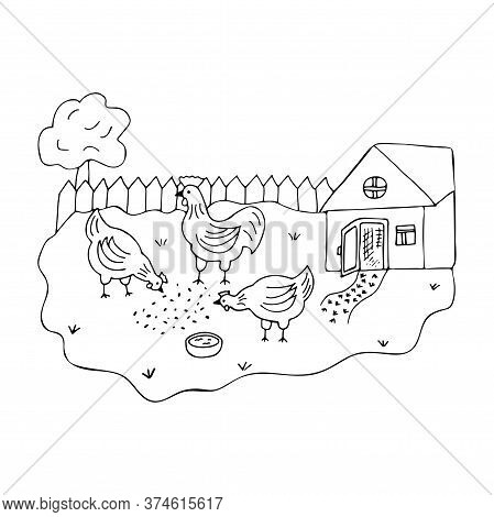 Courtyard In The Village With Walking Hens And A Cock. Doodle Black And White Vector Illustration In