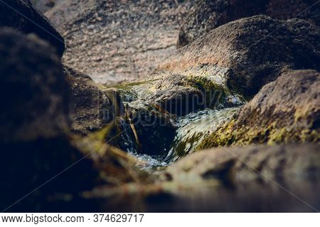 Rocky Mountain Creek Near Potrero De Los Funes, San Luis, Argentina. Close Up Detail.