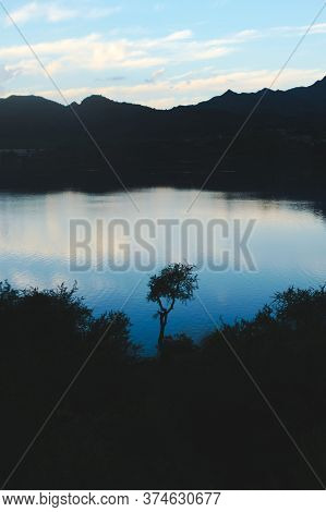 Lone Tree Silhouetted Against The Twilight Sky Reflections Over Lake Potrero De Los Funes, In San Lu