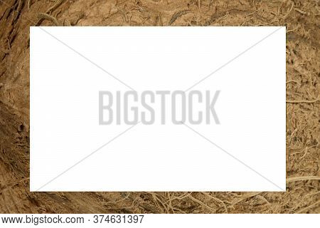 Coconut Fibre Texture. Shallow Depth Of Field Photograph.