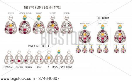 Generator Projector Manifestor Reflector. Five Human Design Types. Circuitry. Authority Types. Illus