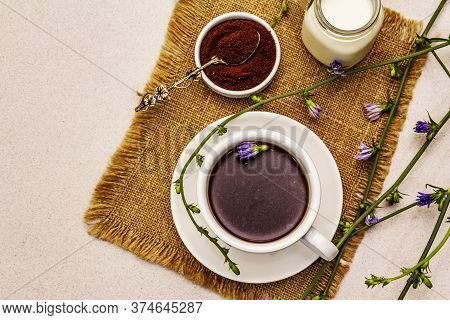Useful Chicory Drink And Flowers