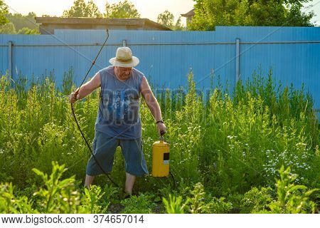 An Elderly Man In A Hat Sprays An Insecticide On The Tops Of Potatoes. The Fight Against The Colorad