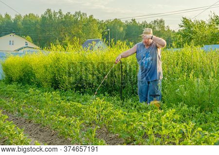 An Elderly Man In A Hat Sprays An Insecticide On The Tops Of Potatoes. The Fight Against The Colorad