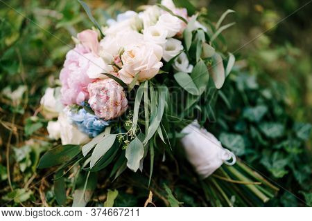 Bridal Bouquet Of White And Pink Roses, Peonies, Hortense Branches Of Eucalypt Tree, Eustoma White R
