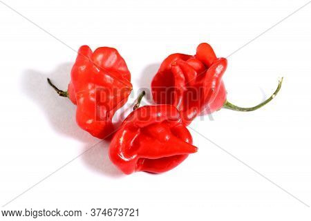Capsicum Baccatum Is A Species Of Chili Pepper That Includes The Following Cultivars