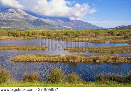 Beautiful Sunny Wetland Landscape. Montenegro, Tivat. View Of Tivat Salina  ( Tivatska Solila ) On S