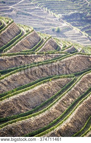 Terraced Vineyards Of The Douro Valley, Portugal That Illustrators The Viticulture And Heritage