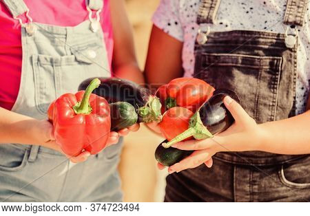 Homegrown Organic Harvest Benefits. Grow Organic Crops. Community Gardens And Farms. Healthy Lifesty