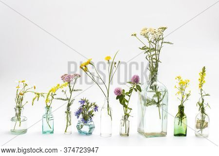 Wild Field Herbs In Bottles Of Different Shapes On A White-gray Background As A Decoration. Card