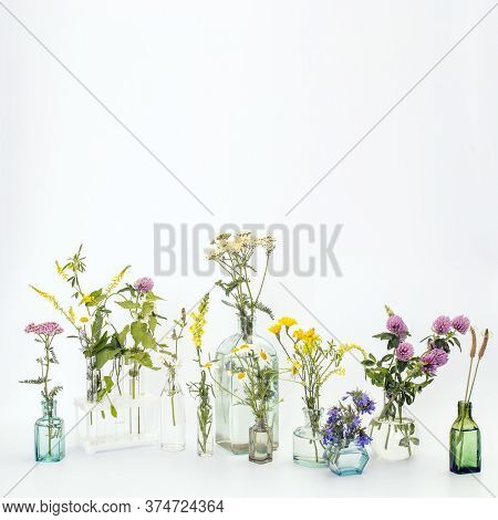 Wild Field Herbs In Bottles Of Different Shapes On A White-gray Background As A Decoration. Card, Bo