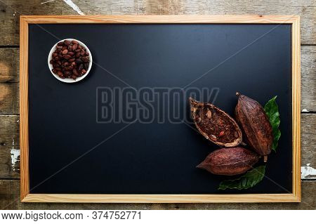 Dry Cocoa Pod With Cocoa Beans And Cocoa Powder