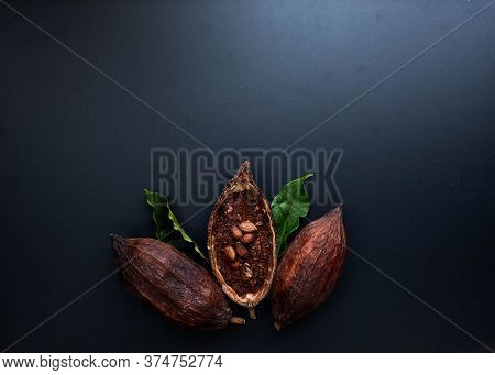 Composition With Cocoa Pod Black Texture Background