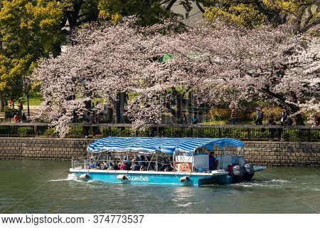 Osaka / Japan - March 28, 2018: Tourist Boat Sailing The Okawa River With Blooming Cherry Blossom Tr