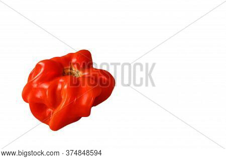 Close Up Of Red Ripe Tomato Isolated On White Background. Funny, Weird Vegetable. Ugly Food.
