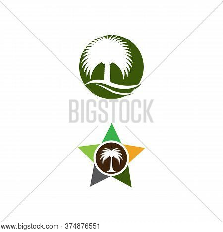 Dates Tree  Logo Template Vector Symbol